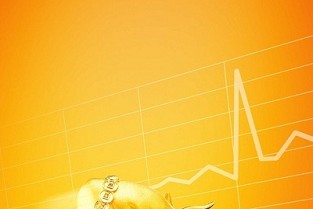 lingfeng 梦想改造家装修网站